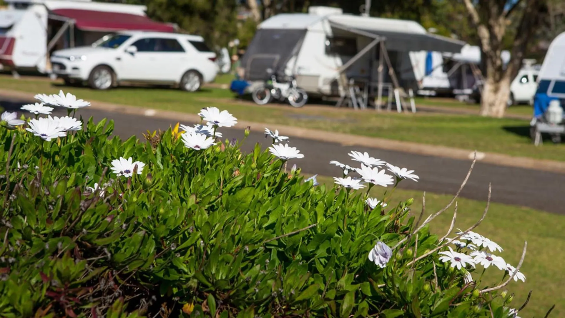 Toowoomba Motor Village Campsite
